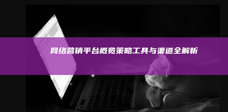 网络营销平台概览：策略、工具与渠道全解析